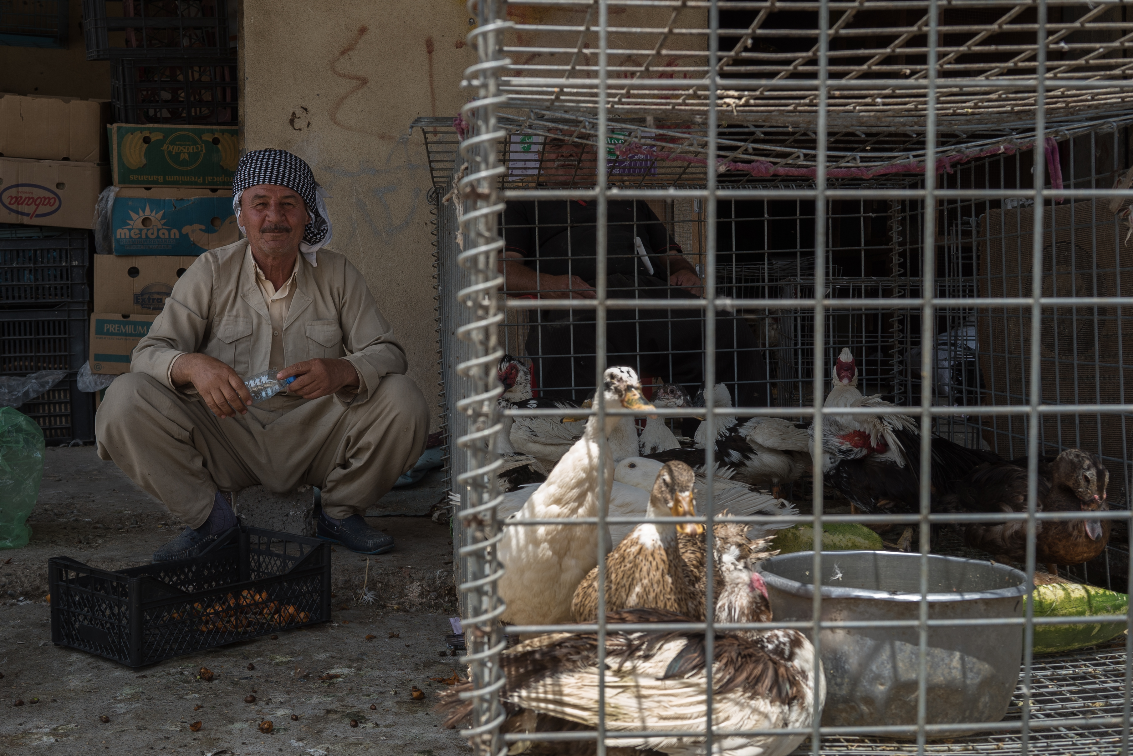 Erbil market for birds and animals, Erbil, Kurdistan Region, June 4, 2016. (Photo: Kurdistan24/Alexandre Afonso)